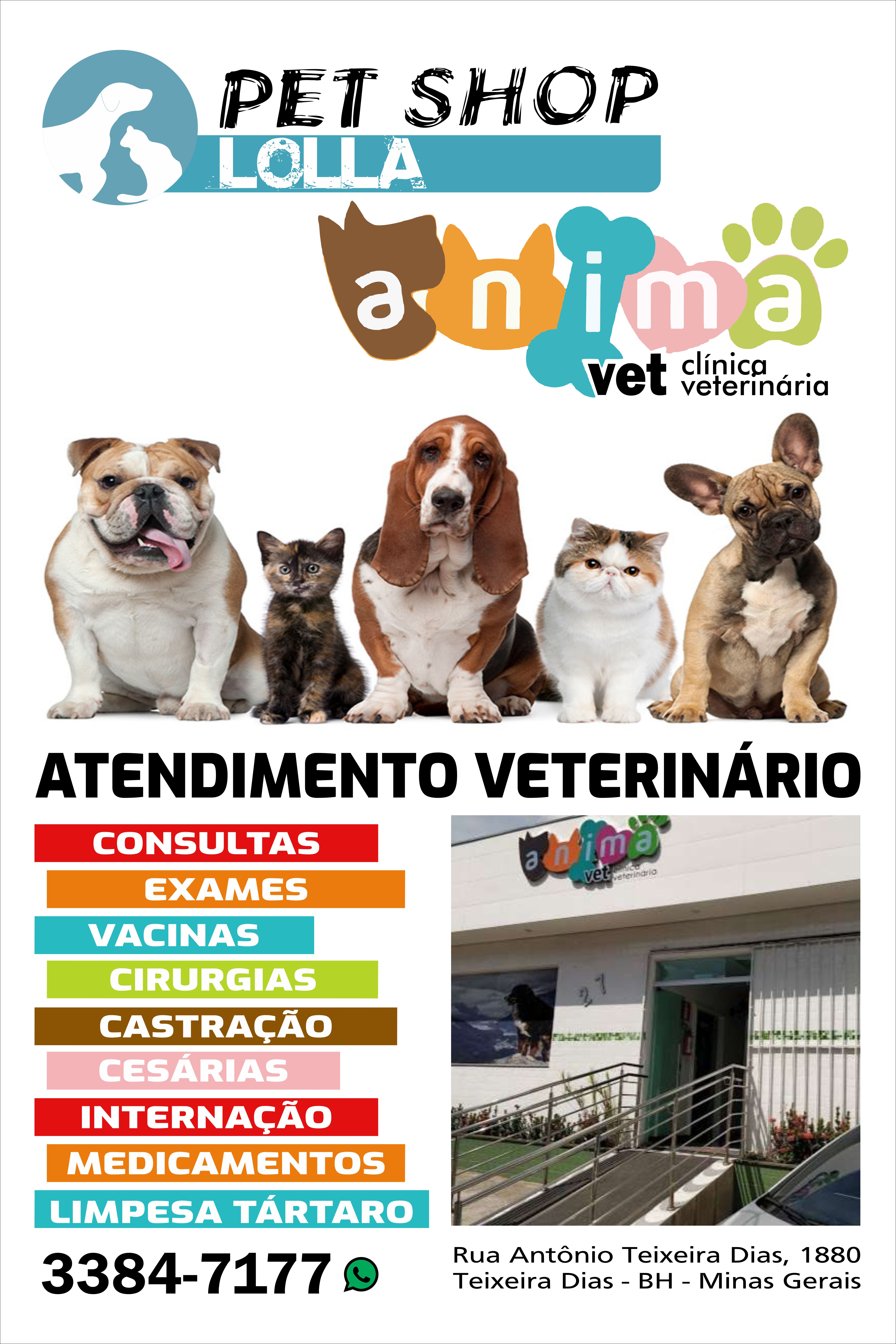 BANNERS DIVERSOS